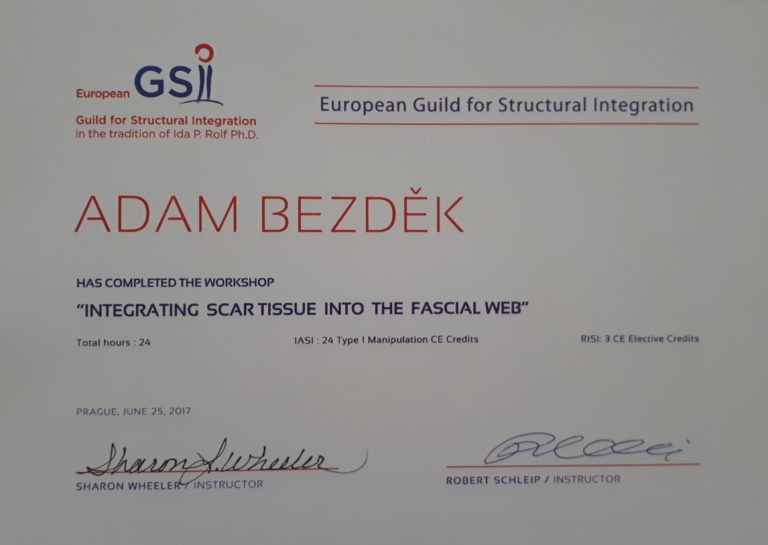 Certifikikát - GSI - Integrating scare tissue the fascial web - Adm Bezděk 2017