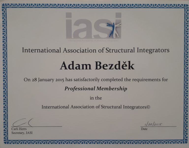 Certifikikát - IASI - Profesional Membership - Adm Bezděk 2015