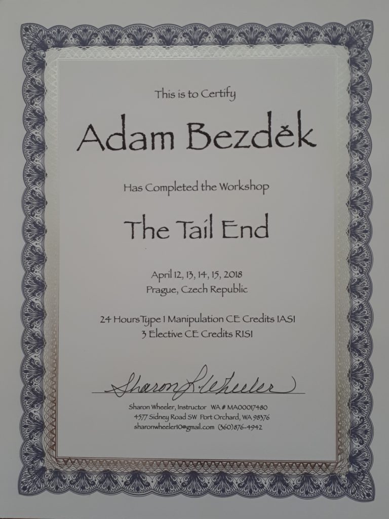 Certifikikát - IASI - The Tail End - Adm Bezděk 2018