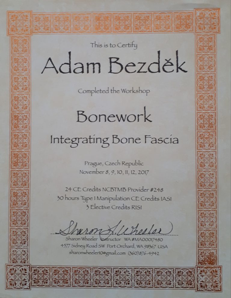 Certifikikát - IASI - Bonework, Integrating Bone Fascia - Adm Bezděk 2017